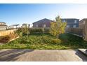 Spacious backyard with green grass and trees, fenced for privacy, and patio area at 1908 Homestead Dr, Fort Lupton, CO 80621