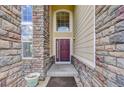 Home entrance with a high stone archway, a red door and large windows at 4864 Harness Ct, Parker, CO 80134