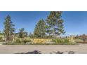 Elegant entrance to Colorado Golf Club with stone wall, mature trees, and wrought iron gates at 10727 Snowdon St, Parker, CO 80134