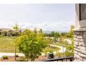 Scenic view from home with green trees and lush landscapes overlooking serene streets and mountain views at 997 Brocade Dr, Highlands Ranch, CO 80126