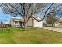 Beautiful single-Gathering home with mature landscaping including a large shade tree and a vibrant green lawn at 12116 N Fairfax St, Thornton, CO 80241