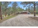 Exterior view of a house with a gravel driveway surrounded by pine trees at 2013 Swede Gulch Rd, Evergreen, CO 80439