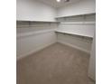Walk-in closet with built-in shelving, providing plenty of storage space at 5626 W 142Nd Ave, Broomfield, CO 80020
