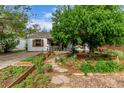 Beautiful landscaping with raised garden beds, a stone path, and a mature tree at 1341 Chester St, Aurora, CO 80010