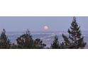 A tranquil night view overlooking the cityscape with a vibrant, full moon at 9648 Yegge Rd, Morrison, CO 80465