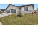 New construction features stucco siding, stone accents, a dark gray garage door, and a small fir tree at 15 S Gray St, Lakewood, CO 80226