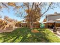 A well-maintained backyard with a lush lawn, wooden fence, and patio area at 9310 Pierce St, Broomfield, CO 80021