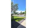 Picture of the yard and street with various trees and blue skies at 21580 Longs Peak Ln, Parker, CO 80138