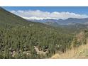 Scenic view of snow-capped mountains framed by lush green trees at 24170 Matterhorn Dr, Indian Hills, CO 80454