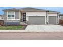 Charming single-story home with a two-car garage and well-manicured front lawn, showcasing modern curb appeal at 4063 Castle Vista Dr, Castle Rock, CO 80104