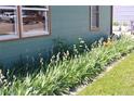 Single-story home featuring flower beds and well maintained lawn at 1730 W 51St Ave, Denver, CO 80221