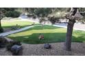 Lush front yard featuring mature trees, a well-maintained lawn, and several deer resting peacefully at 5329 Pinyon Jay Rd, Parker, CO 80134