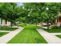 Beautifully maintained community lawn surrounded by mature trees and sidewalks in a residential neighborhood at 2648 Florence St, Denver, CO 80238