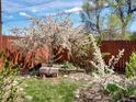 Secluded back yard featuring mature flowering trees, mature shrubs and a small stone bench at 6640 Grove St, Denver, CO 80221