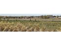 Expansive field view with white fencing, trees, and houses in the background at 15788 Valentia St, Thornton, CO 80602