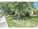 Exterior home view showing the yard's mature trees that provide plenty of shade at 1091 E Pinewood Ave, Centennial, CO 80121
