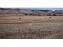 Expansive rural land with beautiful mountain views features grazing horses in a serene setting at 8602 N 39Th St, Longmont, CO 80503