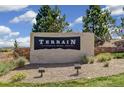 A sign for Terrain, a community in Castle Rock, CO, surrounded by lush landscaping and blue sky at 1889 Water Birch Way, Castle Rock, CO 80108