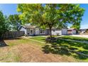 Well maintained single-story home with a large tree, manicured lawn and mature landscaping at 205 Spruce Ave, Lochbuie, CO 80603