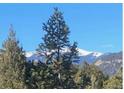 Lush pines and snow-capped mountains make for a beautiful outdoor setting at 33884 Bergen View Trl, Evergreen, CO 80439