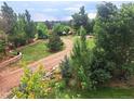 Landscaped lot with mature trees and a winding driveway at 9655 Morrison Rd, Lakewood, CO 80227
