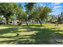 Spacious front yard with mature trees offering shade and curb appeal to this charming home at 7750 W 5Th Ave, Lakewood, CO 80226