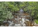 View of a gently flowing creek winding through a lush landscape, offering tranquility and natural beauty at 1774 Upper Bear Creek Rd, Evergreen, CO 80439