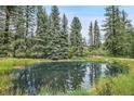 A serene pond reflects the towering pine trees, creating a picturesque and tranquil outdoor oasis at 1774 Upper Bear Creek Rd, Evergreen, CO 80439