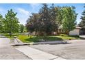 Beautiful home exterior with a lush green lawn and mature trees along a peaceful residential street at 1380 Holly E Dr, Broomfield, CO 80020
