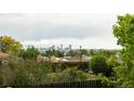 Scenic skyline view from this property, overlooking lush greenery and neighborhood homes at 654 S Shoshone St, Denver, CO 80223