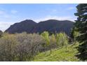 View of majestic mountains through green trees and meadow at 15947 S Perry Park Rd, Palmer Lake, CO 80133