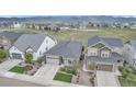 Aerial view of a gray single-Gathering home in a well-maintained community with open spaces and mountain views at 9055 Swan River St, Littleton, CO 80125