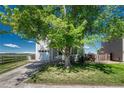 Quaint home with mature trees in the front yard and well-kept lawn at 1353 Mallard Ln, Brighton, CO 80601