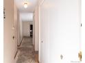 Hallway view with closet and entryway to living space at 660 S Alton Way # 12C, Denver, CO 80247