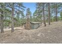 Exterior view of a home featuring a stone chimney and covered patio nestled among mature pine trees in wooded lot at 3989 S Palo Verde Rd, Evergreen, CO 80439