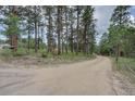 Gravel driveway leading to wooded property featuring mature trees at 28858 Richmond Hill Rd, Conifer, CO 80433