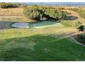 Private backyard golf area with putting green, sand trap, and mature trees at 3080 Big Bear Dr, Sedalia, CO 80135