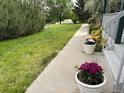 Landscaped walkway featuring manicured lawn and decorative potted flowers at 935 Green Gables Cir, Bennett, CO 80102