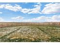 Spacious backyard with a wooden fence, perfect for outdoor activities and enjoying the scenery at 3074 Belleville Ridge Rd, Elizabeth, CO 80107