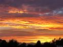 Brilliant sunset with vivid orange and yellow hues, creating a serene backdrop behind silhouetted trees at 2626 N Steele St, Denver, CO 80205
