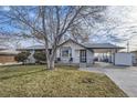 Attractive single story home with covered parking, front yard, and mature tree at 8610 Jolene Dr, Denver, CO 80229