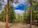 Scenic mountain views framed by lush trees, offering privacy and tranquility at 23778 Inca Rd, Indian Hills, CO 80454