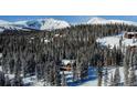 Aerial view of a log home nestled in a snowy mountain forest at 229 Lee Ln, Breckenridge, CO 80424