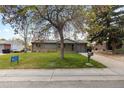 Inviting home with a spacious lawn, mature trees, and a paved driveway leading to the attached garage at 8305 Eaton Way, Arvada, CO 80003