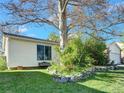 Lush side yard featuring a mature tree, a small stone garden, and a cozy bench for relaxing at 10878 Grange Creek Dr, Thornton, CO 80233