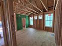 Unfinished room with newly installed green zip board and multiple windows allowing ample natural light inside at 30 Waterford St, Erie, CO 80516