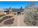 Charming single-story brick home with low maintenance landscaping and a beautiful flowering tree at 3011 Oneida St, Denver, CO 80207