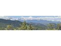 Breathtaking mountain views, showcasing snow-capped peaks in the distance and a serene landscape at 29657 Loomis Way, Golden, CO 80403