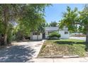Inviting single-story home with a well-manicured front yard and mature trees, providing a welcoming atmosphere at 1900 Kingston St, Aurora, CO 80010