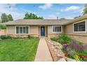 Inviting walkway to a blue front door, surrounded by vibrant flowers and lush landscaping at 7719 S Jackson Cir, Centennial, CO 80122